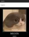 43 KB
