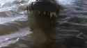 2.94 MB