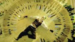 59 KB