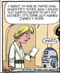 817 KB