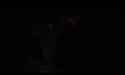 1.58 MB
