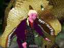 229 KB
