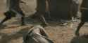 3.95 MB