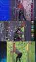 3.63 MB