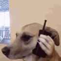 642 KB