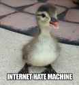 125 KB