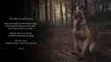 425 KB