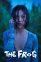 244 KB
