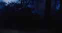 3.92 MB