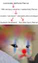 645 KB