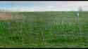 1.17 MB