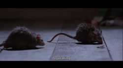 3.17 MB