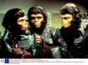 1.01 MB