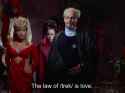 1.17 MB
