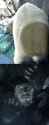 1.91 MB