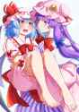 __remilia_scarlet_and_patchouli_knowledge_touhou_drawn_by_eichi_yuu__44588d3872b9d8f7425666edabb947e6