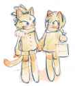 __amy_rose_and_blaze_the_cat_sonic_drawn_by_pam3le__0d2e09917a102b82e006087dbbc07dc3