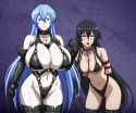 __esdeath_and_akame_akame_ga_kill_drawn_by_yxyyxy__a2cd03c17b6820b4ac6be285489cbf38