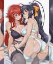 __rias_gremory_and_himejima_akeno_high_school_dxd_drawn_by_vizaz__354fd84a0c00290eefc11351362184b1