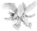 Angel (ancient)