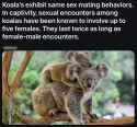 Watanare