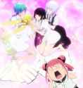 lily harem