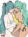 __hatsune_miku_and_brazilian_miku_vocaloid_drawn_by_dashi_dashiart__748dd924cbf93c8d3ac68bf79b26e0c4