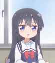 16041509564821