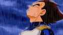 vegeta-under-the-rain(1)