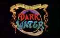 pirates of dark water