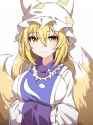 __yakumo_ran_touhou_drawn_by_hiro_pqtks113__sample-745699f07a48b3aa95d90f05a2a3e0fd