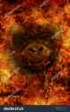 stock-photo-abstract-image-of-a-huge-ape-in-a-flame-of-fire-the-symbol-of-an-angel-of-death-conceptual-blank-251813410