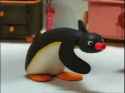 dance pingu dance