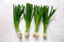 Simply-Recipes-The-Best-Way-To-Store-Green-Onions-METHOD-1A-e625d1c233384353b53e49615f93c485