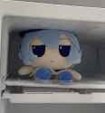 Cirno in the freezer