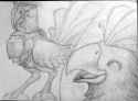 Wanna ride a Chocobo