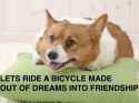 lets-ride-a-bicycle-made-of-dreams