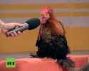 rooster of proofs
