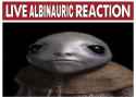 albinauric