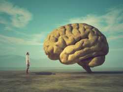 huge-brain-ilustration