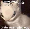 1619932016793