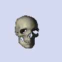 SkullSpin