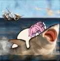 sharkdoro3