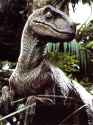 what-is-your-favorite-jp-jw-raptor-design-v0-9swk7yxsgq5e1[1]