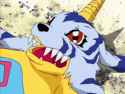 gabumon gets shit on