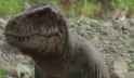 pp___t_rex__2_by_dracotyrannus_dgdxta0-pre