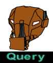 Query
