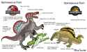 Chad Virgin Spino