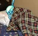 comfy bones