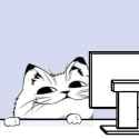 smug_cat